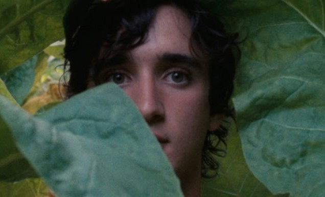 Happy as Lazzaro