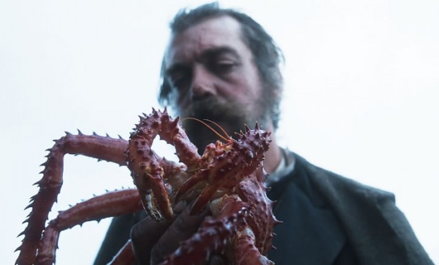 The Tale of King Crab