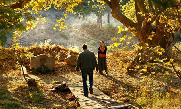 The Wild Pear Tree