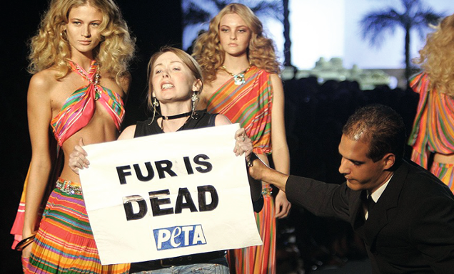 Fashion Scandals