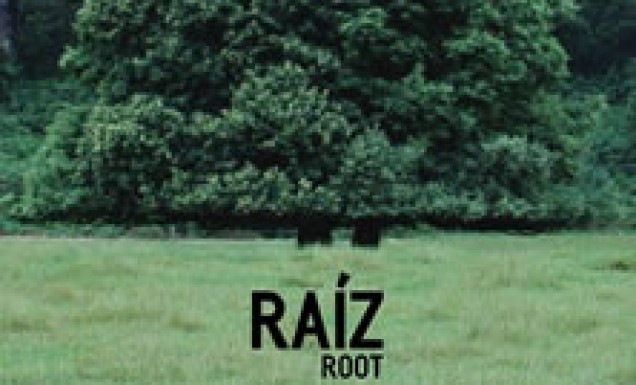 Root