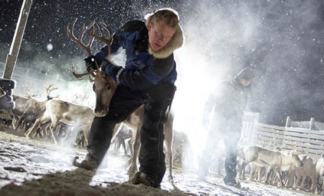 Sámi Bojá
