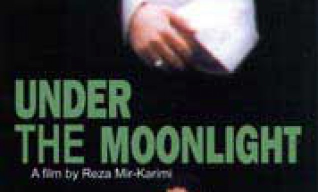 Under the Moonlight