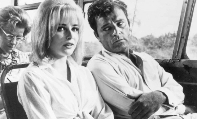 The Night of Iguana